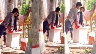 Public Park Desi College Lover Fucking Porn – Indian College Viral Sex